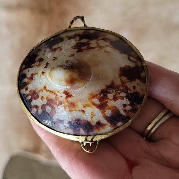 VINTAGE Opihi Shell  Trinket box - Picture 3 of 4